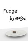 Cover image for 'Fudge', which features a plate with a chocolate treat and some crumbs on it sitting on some kind of white bench, on a white background.
